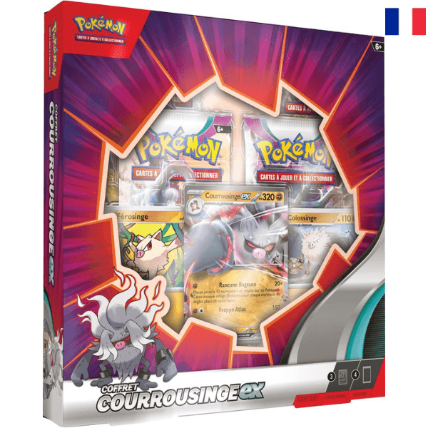 Calendrier de l'avent Pokémon 2023: Une édition en Français